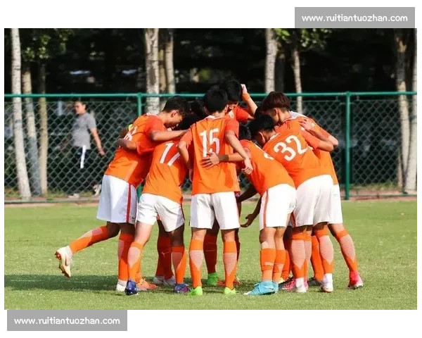 构建多元协同机制全面推进足球青训高质量可持续发展新格局战略