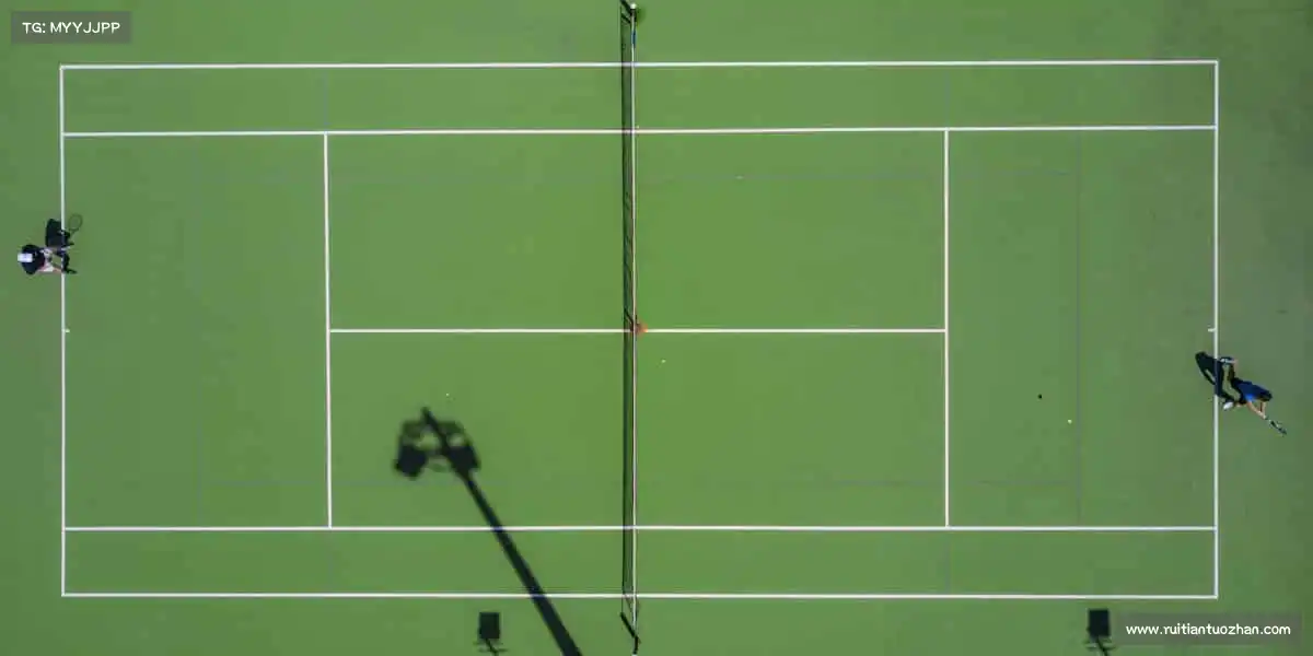 <strong>DB电竞官网</strong>每一次跳跃，都是对极限的挑战！💥